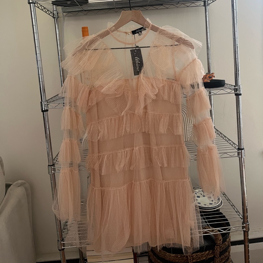 Pink Frilled Mesh Mini Dress
